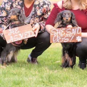 Engagement Photo Prop Signs for Pets